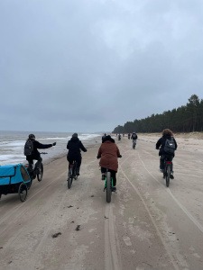 cad4df00-18ad-48ed-8a72-68694551388e